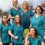 De beste kiropraktor i Strand